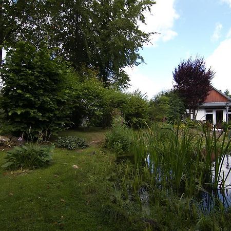 Ferienhaus Wildblick Schleiden Buitenkant foto