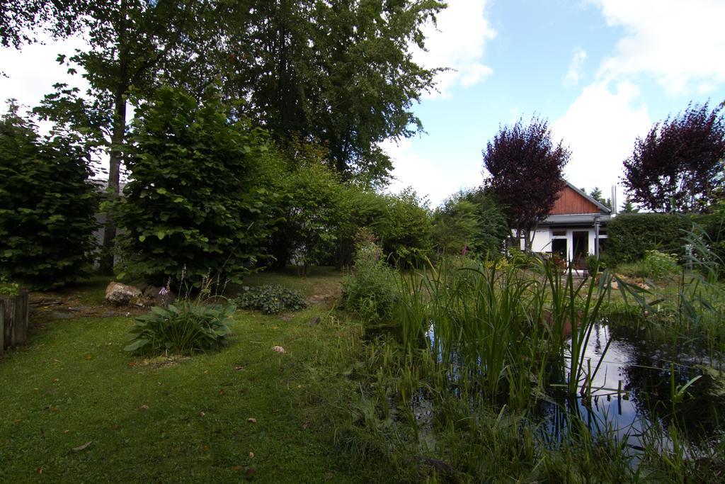 Ferienhaus Wildblick Schleiden Buitenkant foto